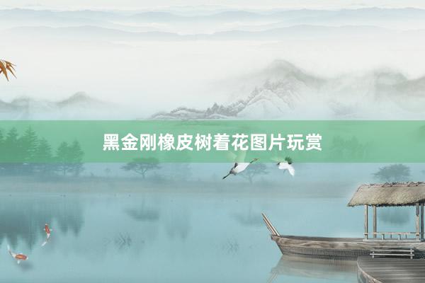 黑金刚橡皮树着花图片玩赏