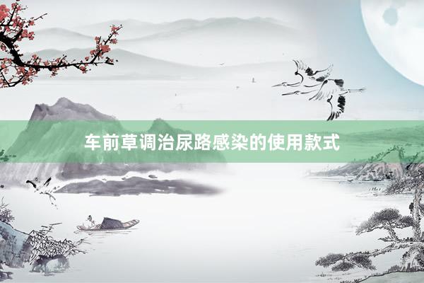 车前草调治尿路感染的使用款式