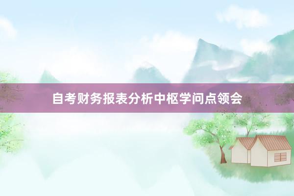 自考财务报表分析中枢学问点领会